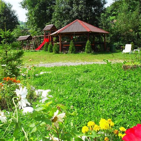 Vila Doina Branului Бран Екстер'єр фото