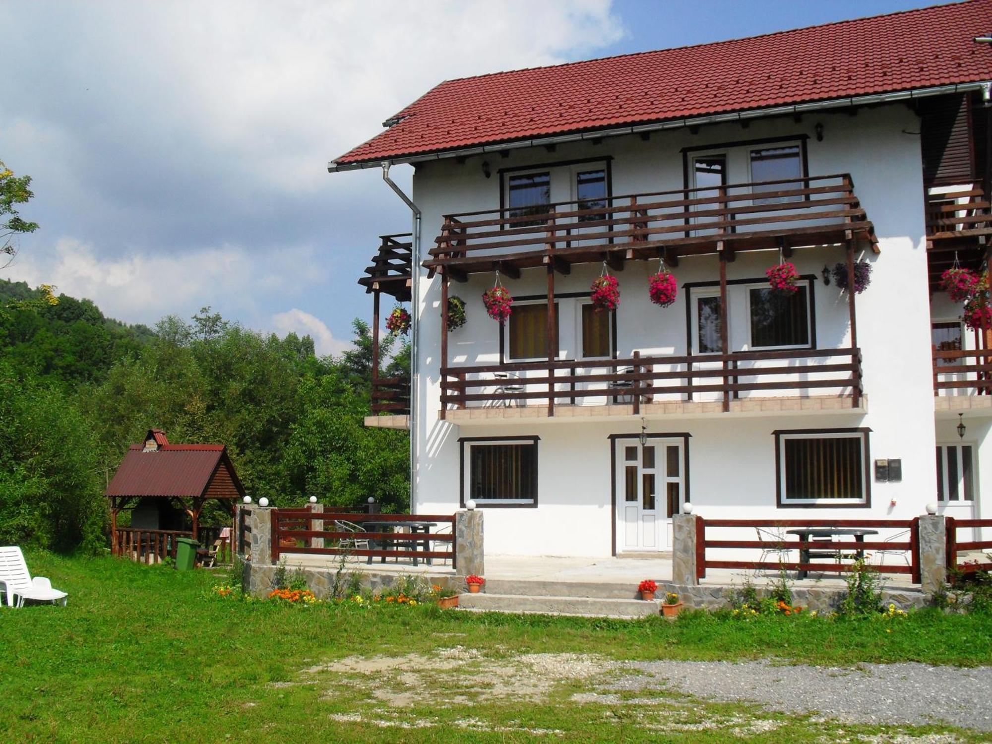 Vila Doina Branului Бран Екстер'єр фото