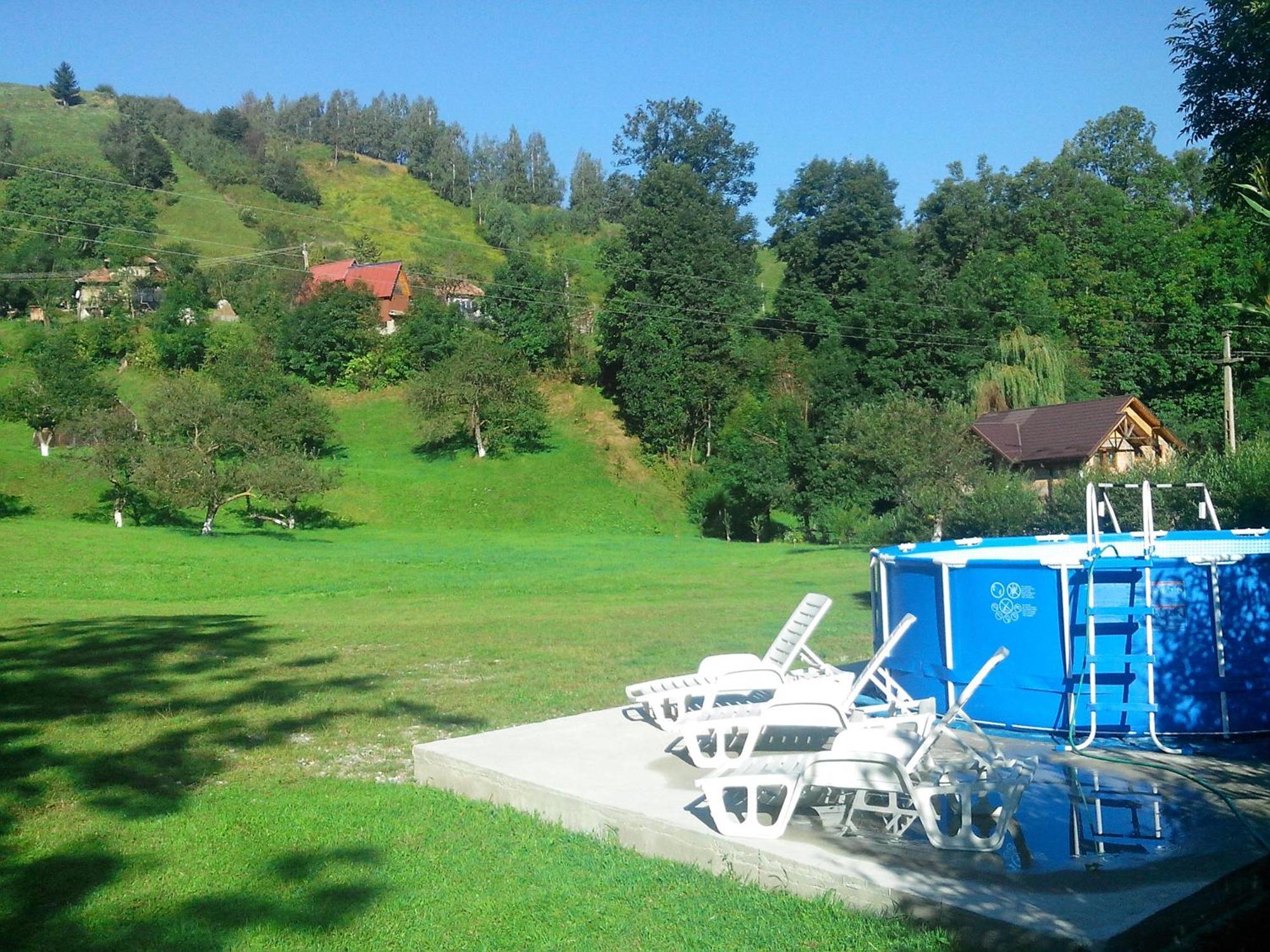 Vila Doina Branului Бран Екстер'єр фото