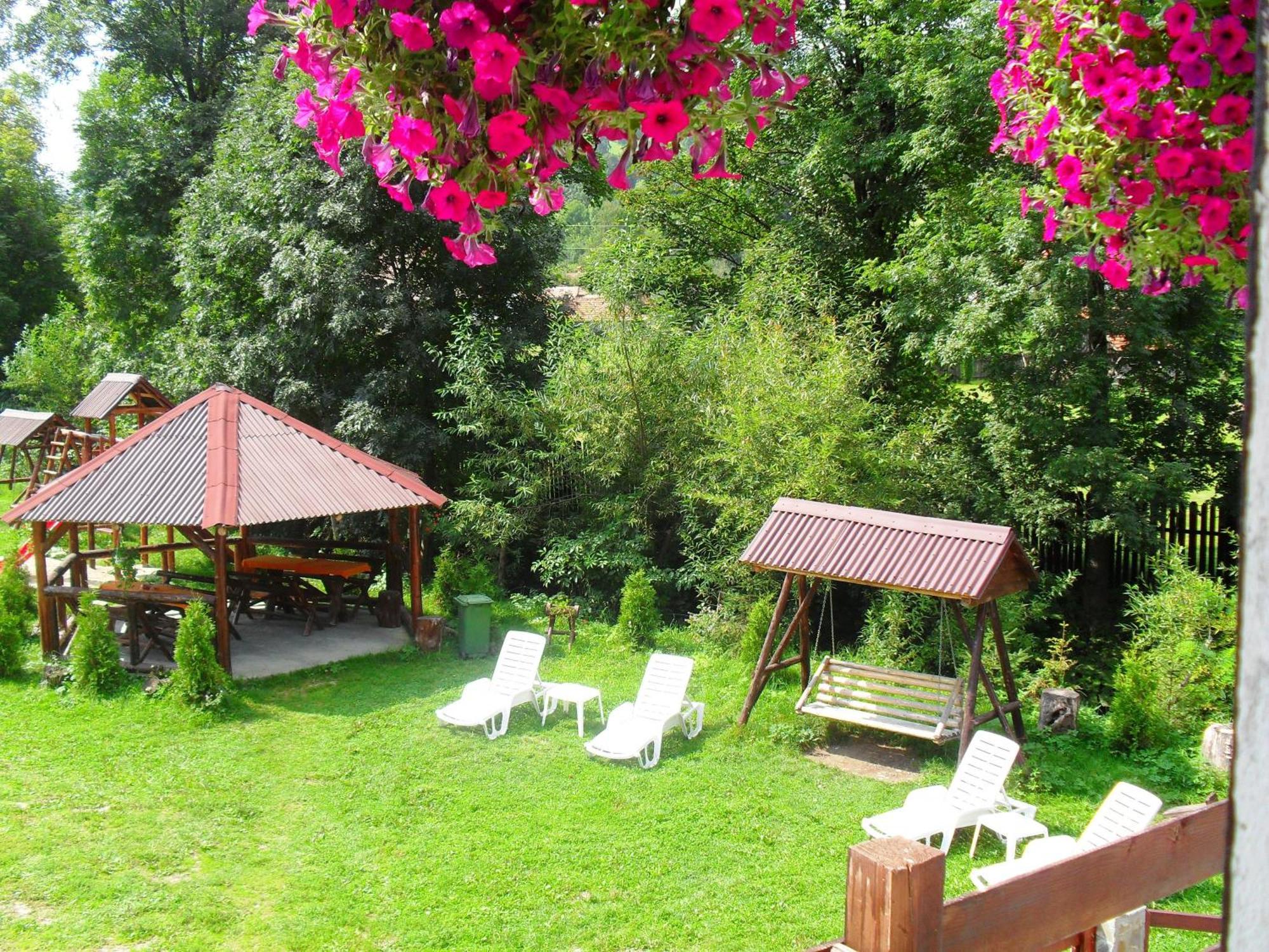 Vila Doina Branului Бран Екстер'єр фото
