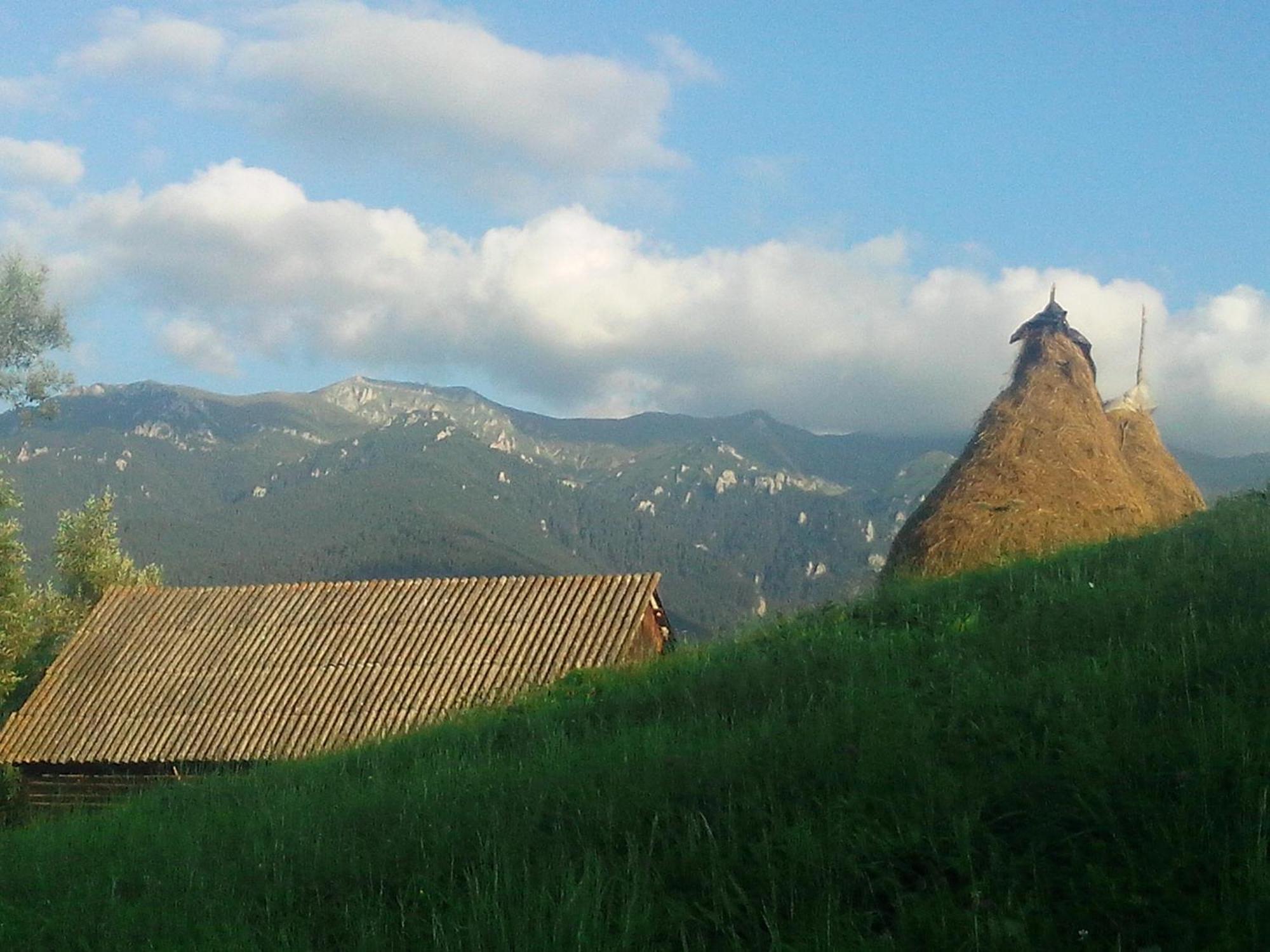 Vila Doina Branului Бран Екстер'єр фото