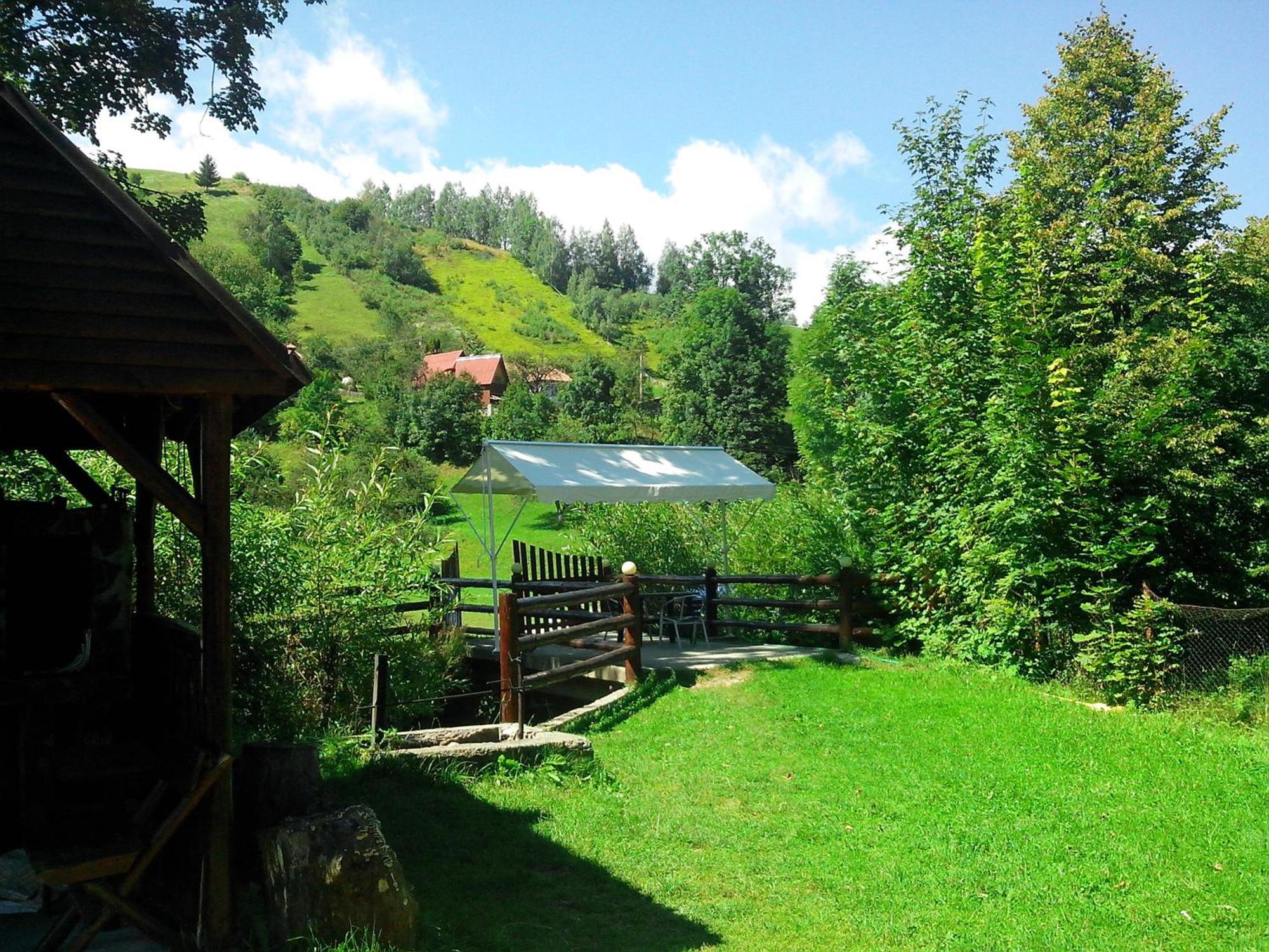 Vila Doina Branului Бран Екстер'єр фото